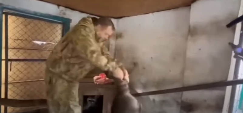 Олег Зубков "рятує" херсонського єнота, тягнучи його за хвіст